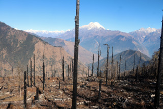 डेढ दशक अघि डढेलोले नष्ट पारेको रसुवा स्थित गत्लाङ डाडाँको वन पुनस्थापना गर्न बागमतीका वनमन्त्री सिलवालको चासो