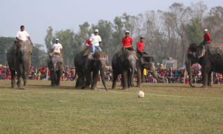 चितवनको सौराहामा आजदेखि हात्ती तथा पर्यटन महोत्सव सुरु हुँदै