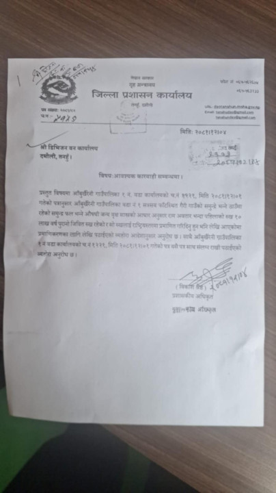 आँबुखैरेनीमा दश लाख बर्ष पुरानो रुख भेटिएको दाबी