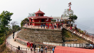 थानीमाई मन्दिरमा एक वर्षमा भित्रिए ५ सय ७ ओटा फूलको डोली