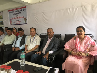 बाँदर आतङ्क रोक्न तनहुँका किसानको माग