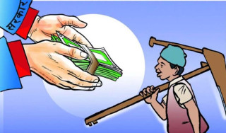 गोरखामा उत्पादकत्व बढाउन नगद अनुदान