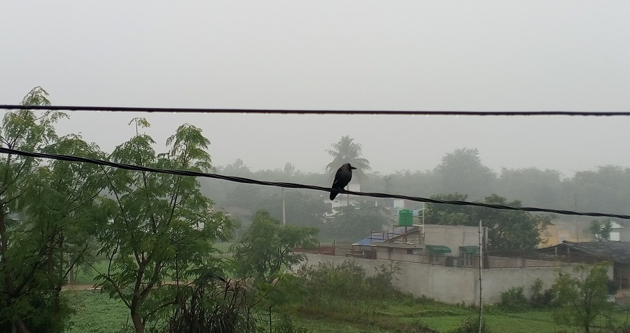 मधेशमा फेरि शीतलहर, जनजीवन प्रभावित