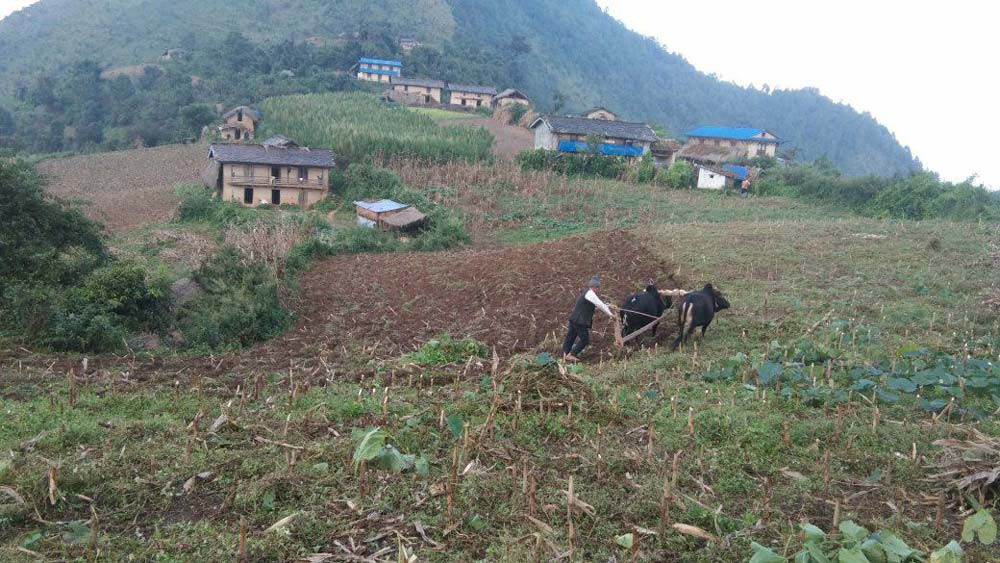 नेताले मत माग्छन्, जनताले पानी