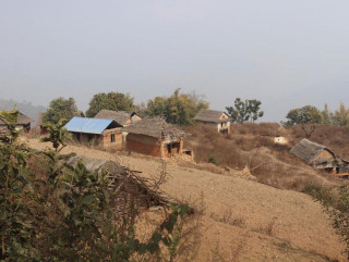 बसाइँसराइले रित्तिँदै गाउँ, गोरुको ठाउँमा कृषि औजार