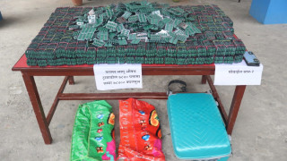 ठूलो परिमाणमा लागुऔषध ट्रामाडोल क्याप्सुलसहित दुई पक्राउ