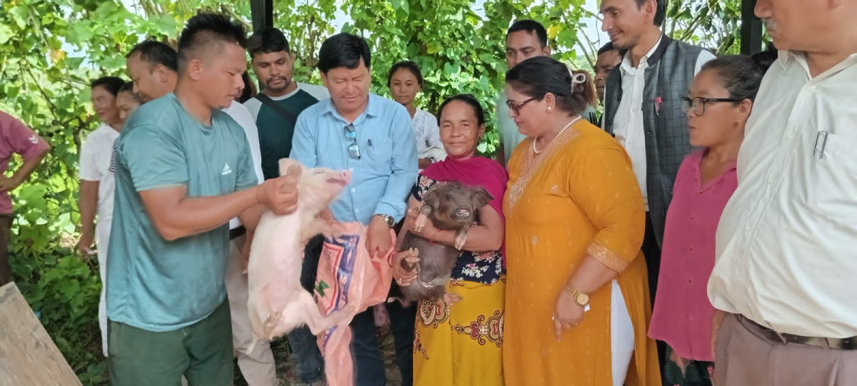 फरवार्ड नेपालद्वारा इच्छाकामना ७ का ६० किसानलाई बंगुरको पाठा वितरण