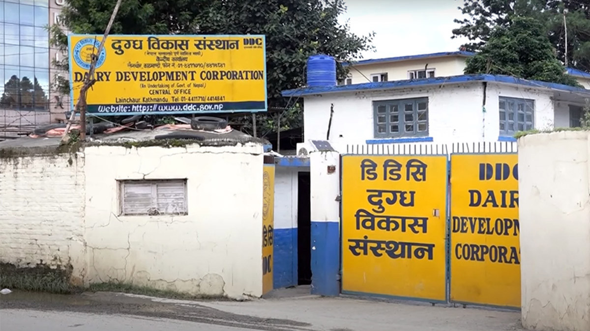 डिडिसीको लक्ष्य : दैनिक दूध सङ्कलन १ लाख ५० हजार लिटर पुर्‍याउने