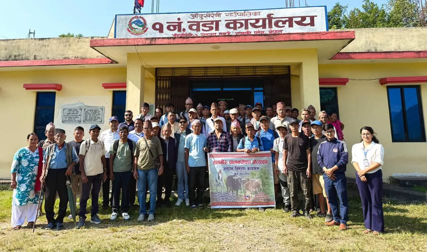 आँबुखैरेनीका ४६ हल गोरुपालक कृषकलाई ३ लाख २२ हजार अनुदान