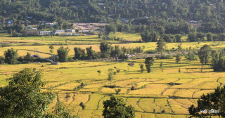 उच्च पहाडी र हिमाली क्षेत्रमा हिमपातको सम्भावना,धान नकाट्न विभागको आग्रह